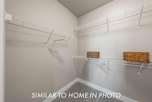 1488 S 91st St, West Des Moines, IA 50266 - spacious closet with carpet