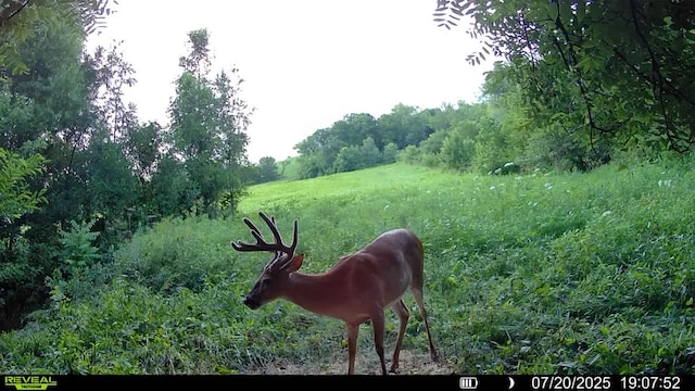 00 315th Ave, Woodburn, IA 50275 - photo 35