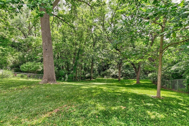 2904 Shadyoak Dr, Des Moines, IA 50310 - view of yard