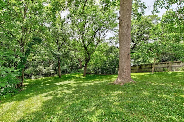 2904 Shadyoak Dr, Des Moines, IA 50310 - view of yard