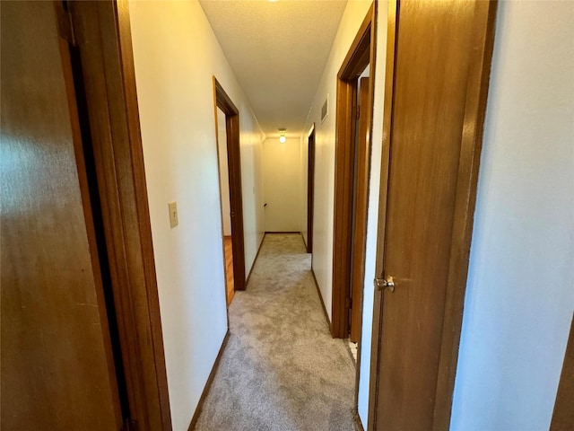 4425 Amick Ave, Des Moines, IA 50310 - hall with light colored carpet and baseboards