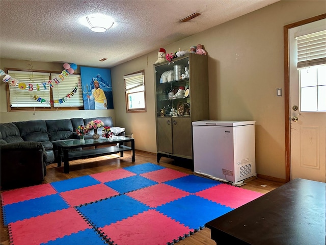 3521 SE 20th St, Des Moines, IA 50320 - rec room featuring wood finished floors and a textured ceiling