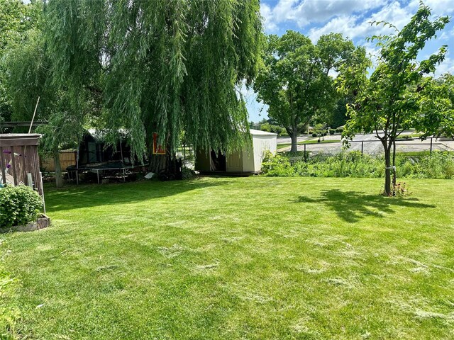 3521 SE 20th St, Des Moines, IA 50320 - view of yard featuring a storage unit