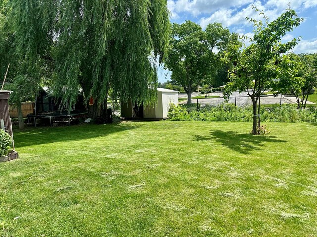 3521 SE 20th St, Des Moines, IA 50320 - view of yard with a shed