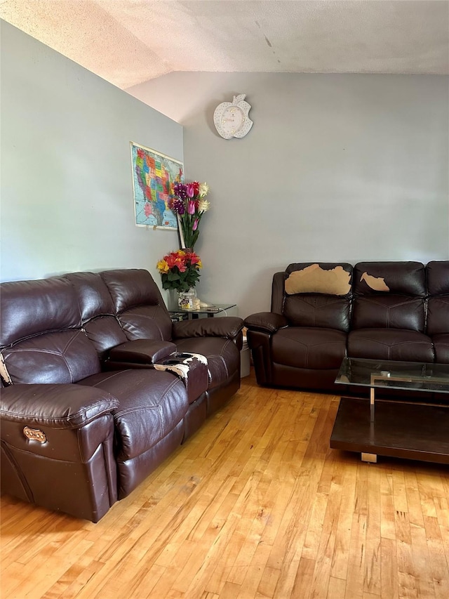 3521 SE 20th St, Des Moines, IA 50320 - living room with hardwood / wood-style floors and vaulted ceiling