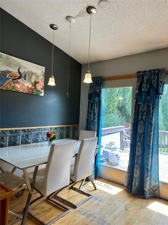 3521 SE 20th St, Des Moines, IA 50320 - dining space featuring hardwood / wood-style floors, plenty of natural light, and a textured ceiling