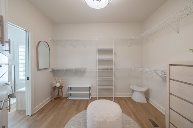 255 S 41st St Unit 171, West Des Moines, IA 50265 - spacious closet with wood finished floors