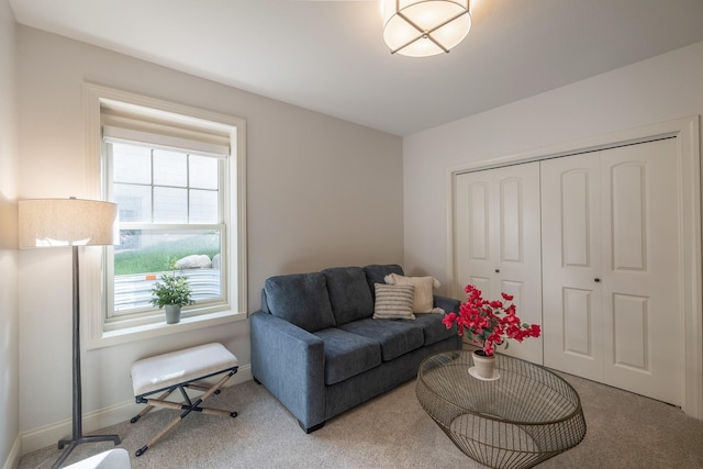 255 S 41st St Unit 171, West Des Moines, IA 50265 - carpeted living area with baseboards