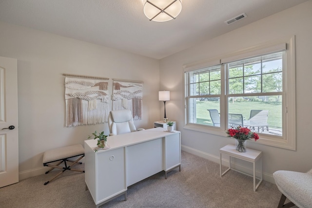255 S 41st St Unit 171, West Des Moines, IA 50265 - home office with carpet
