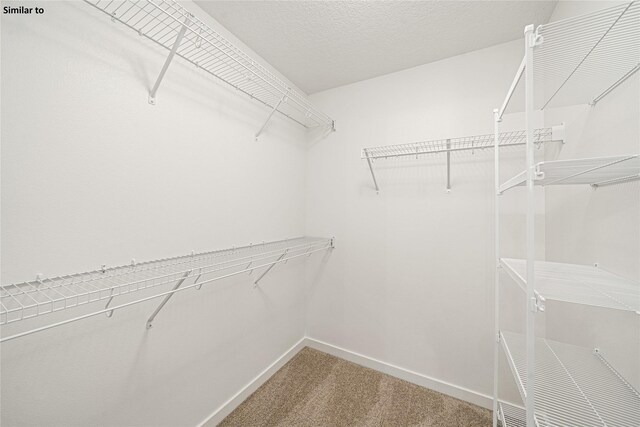 1620 NW Jackson Dr, Ankeny, IA 50023 - spacious closet featuring carpet floors