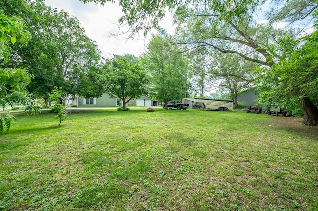 605 Grand St, New Virginia, IA 50210 - view of green lawn