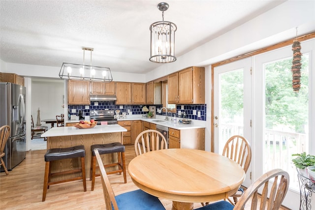 130 SW Meadowlark Ct, Ankeny, IA 50023 - kitchen featuring appliances with stainless steel finishes, under cabinet range hood, light countertops, and tasteful backsplash