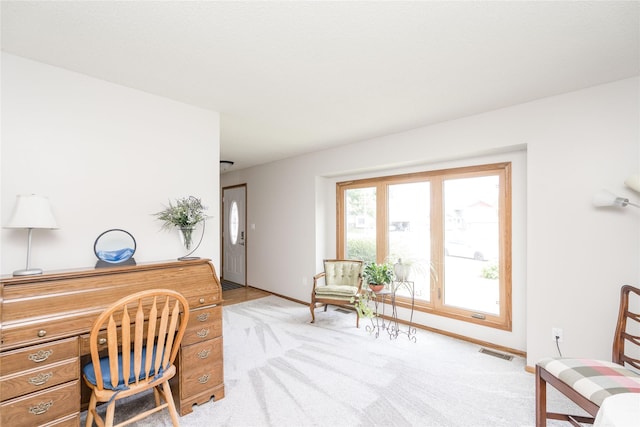 130 SW Meadowlark Ct, Ankeny, IA 50023 - office space featuring light carpet and baseboards