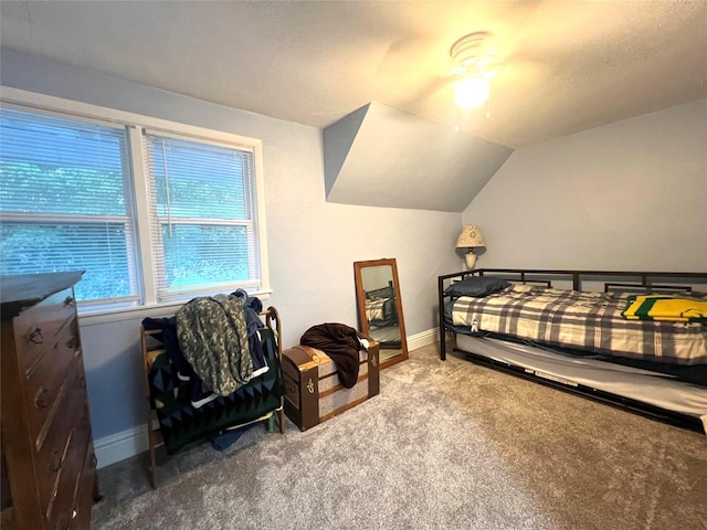 109 E Jackson St, Panora, IA 50216 - bedroom with carpet and vaulted ceiling