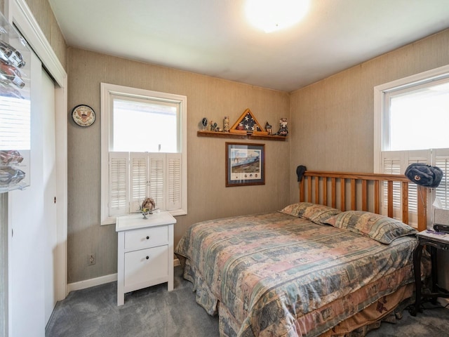 2400 Farwell Rd, Des Moines, IA 50317 - bedroom featuring carpet floors, multiple windows, and a closet