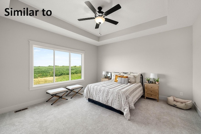 3217 NW Prescott Ct, Grimes, IA 50111 - bedroom with carpet flooring, a raised ceiling, and ceiling fan