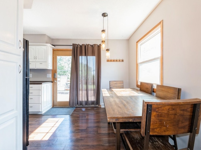 808 SW 2nd St, Stuart, IA 50250 - dining room featuring dark wood-style flooring