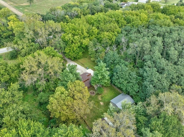 407 E Mckinney St, Runnells, IA 50237 - aerial overview of property's location with a forest