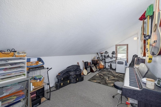 407 E Mckinney St, Runnells, IA 50237 - carpeted home office featuring lofted ceiling and a textured ceiling