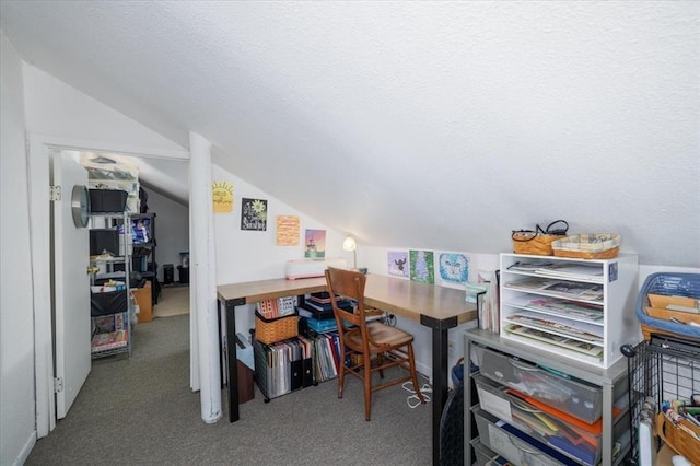 407 E Mckinney St, Runnells, IA 50237 - carpeted office featuring vaulted ceiling