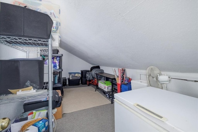 407 E Mckinney St, Runnells, IA 50237 - carpeted bedroom featuring refrigerator, a textured ceiling, and lofted ceiling