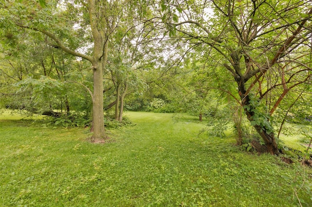 5812 SW 5th St, Des Moines, IA 50315 - photo 22
