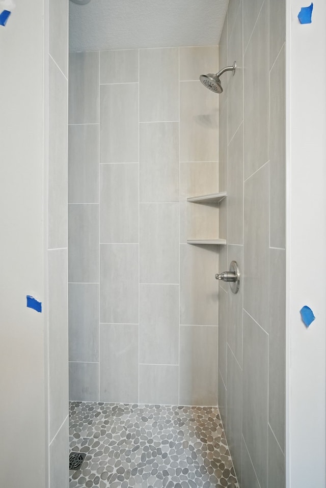 45 NW Alderleaf Dr, Waukee, IA 50263 - full bathroom featuring tiled shower