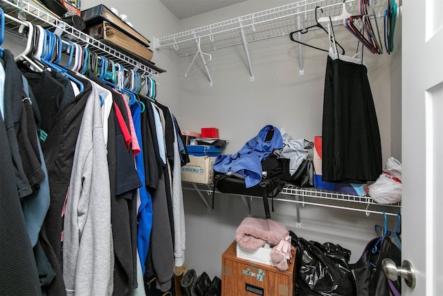 1115 Locust St, Waukee, IA 50263 - view of spacious closet