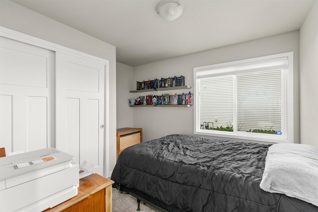 1115 Locust St, Waukee, IA 50263 - bedroom with carpet and a closet