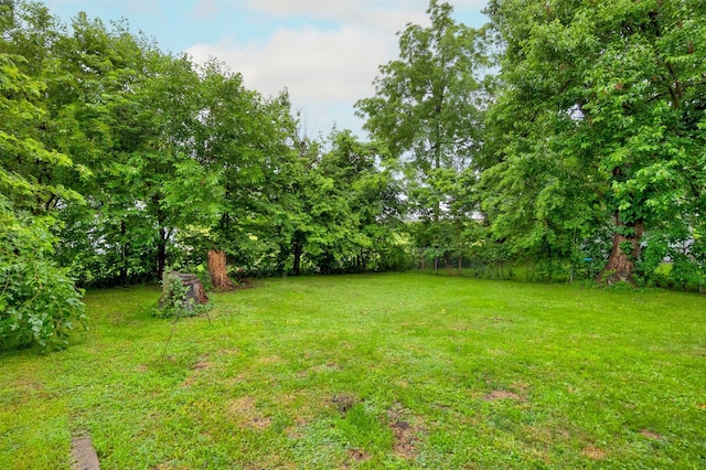 951 28th St, Des Moines, IA 50312 - view of green lawn
