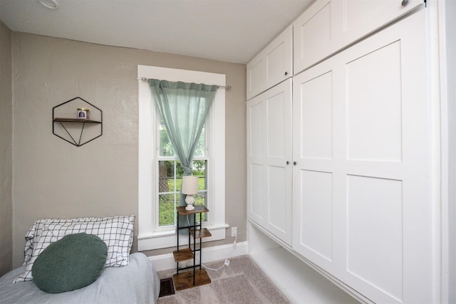 951 28th St, Des Moines, IA 50312 - living area featuring carpet flooring and baseboards