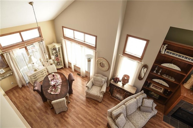 1699 Glade Dr SW, Altoona, IA 50009 - living area featuring high vaulted ceiling and wood finished floors
