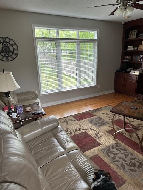 4017 160th St, Urbandale, IA 50323 - living room with a ceiling fan and light wood-style floors