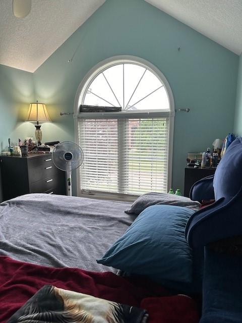 4017 160th St, Urbandale, IA 50323 - bedroom featuring vaulted ceiling and a textured ceiling