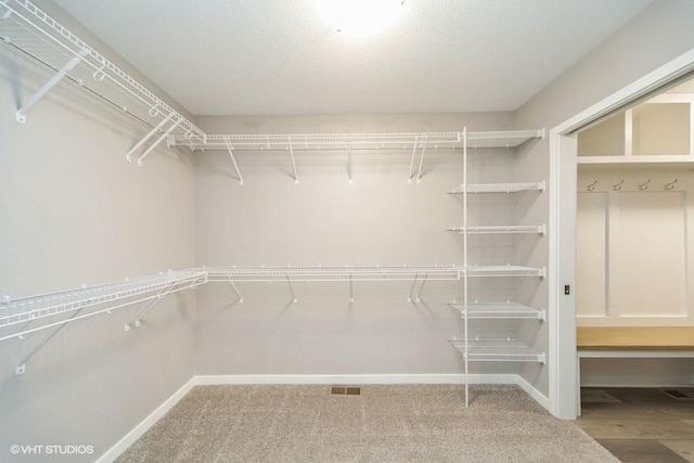 112 Hickory Way, Polk City, IA 50226 - walk in closet featuring carpet flooring