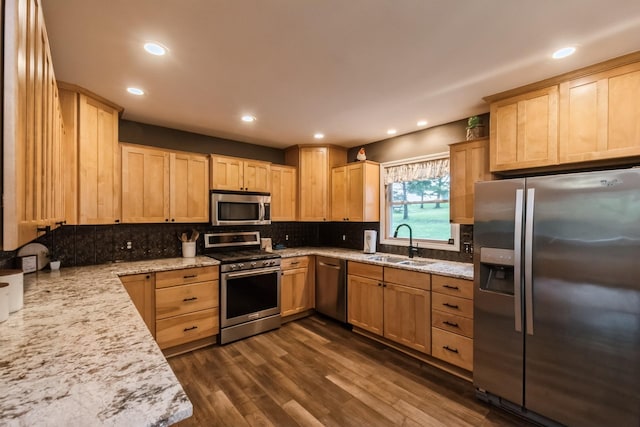 310 SE 3rd St, Panora, IA 50216 - kitchen with appliances with stainless steel finishes, light brown cabinets, dark wood-type flooring, light stone countertops, and recessed lighting