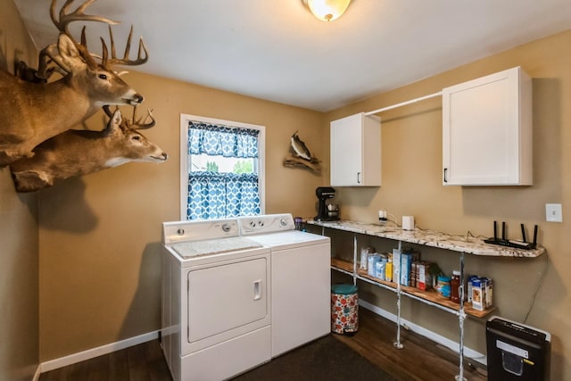 310 SE 3rd St, Panora, IA 50216 - laundry room with cabinet space, separate washer and dryer, and dark wood finished floors