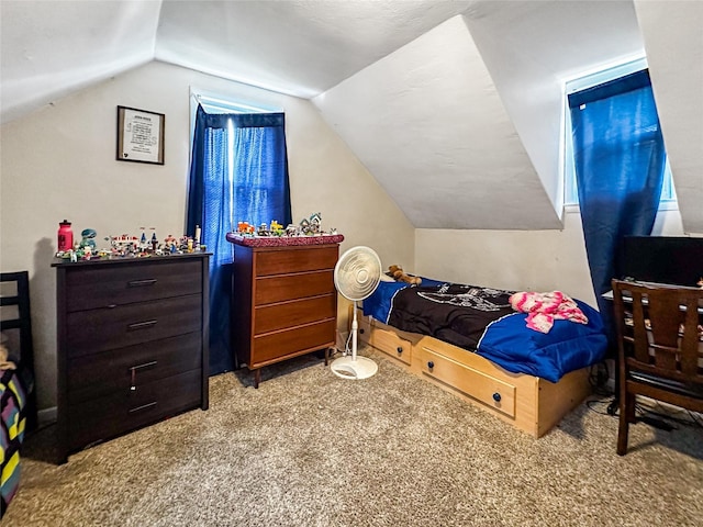 1106 Gratis Ave, Des Moines, IA 50315 - photo 10