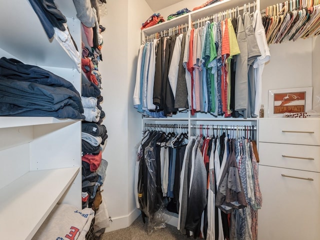 16530 Valleyview Ln, Clive, IA 50325 - spacious closet with carpet floors