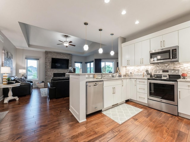 16530 Valleyview Ln, Clive, IA 50325 - kitchen with appliances with stainless steel finishes, a raised ceiling, open floor plan, a ceiling fan, and plenty of natural light