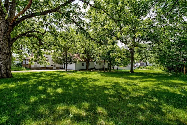 213 S Wilmoth Ave, Ames, IA 50014 - view of green lawn