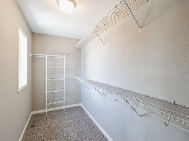101 Sycamore Ln, Norwalk, IA 50211 - photo 22