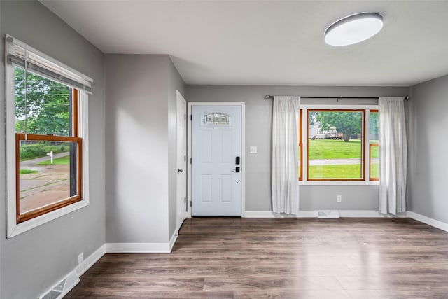 1115 E Herold Ave, Des Moines, IA 50315 - entryway with plenty of natural light and wood finished floors
