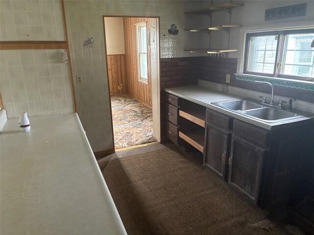 204 Missouri Ave, Lorimor, IA 50149 - kitchen with light countertops, open shelves, dark cabinets, and carpet