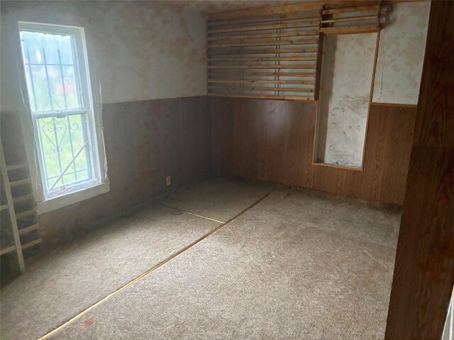 204 Missouri Ave, Lorimor, IA 50149 - carpeted spare room with a wainscoted wall and wood walls
