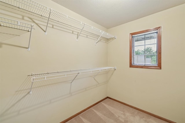 6825 Ceres Cir, Johnston, IA 50131 - photo 12