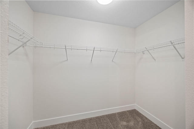 305 S Valley View Dr, Norwalk, IA 50211 - spacious closet with dark carpet
