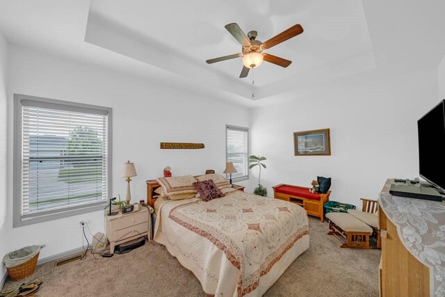 2914 SW Pleasant St, Ankeny, IA 50023 - photo 9