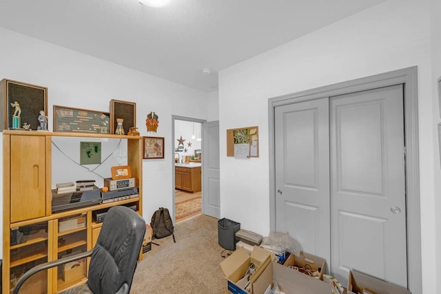 2914 SW Pleasant St, Ankeny, IA 50023 - photo 13