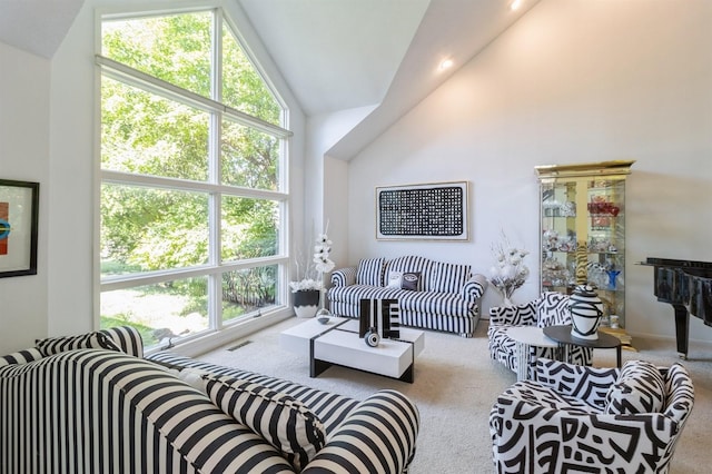 4709 Colt Dr, West Des Moines, IA 50265 - carpeted living room with high vaulted ceiling